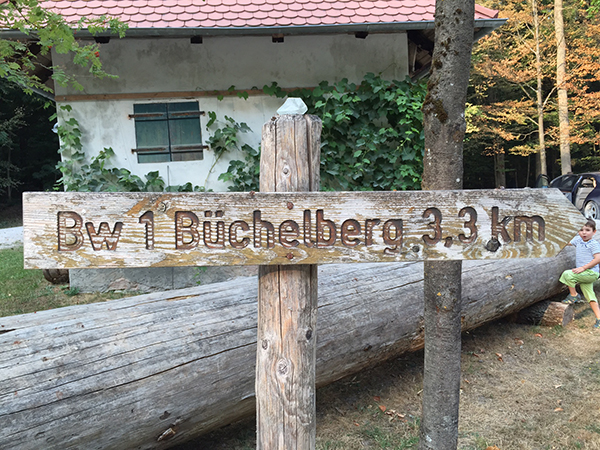 Büchelberg Schild Hinweis Richtung  Holz Jägertafel Schlüsselfeld Wüstenbuch Debersdorf Wald Bürgerwald