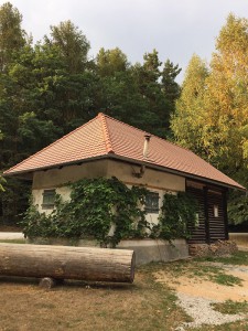 Haus Hütte Real Estate Jägertafel Schlüsselfeld Wüstenbuch Debersdorf Wald Bürgerwald