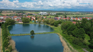 Dorfweiher in Elsendorf