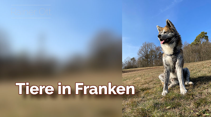 Tiere in Franken