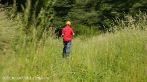 Wanderweg Steigerwald Weggewagt für Steigerwald Panoramaweg gesucht Wanderung Naturpark Steigerwald Wiesen Felder Wald